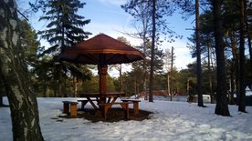 Drvena pečurka za sedenje u centru Divčibara - zimi